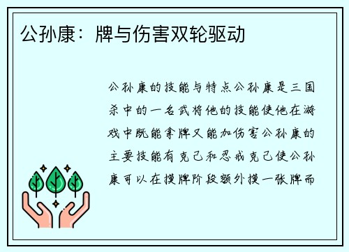 公孙康：牌与伤害双轮驱动